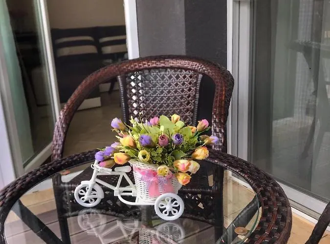 сем. павлови Obzor